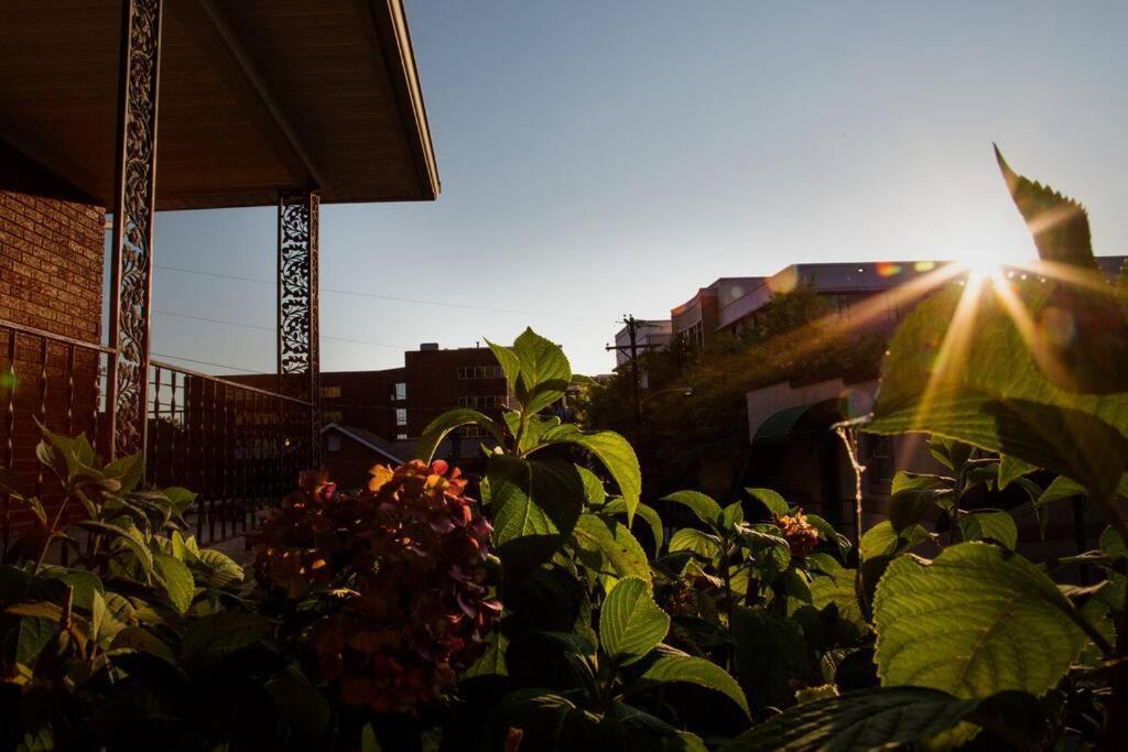 Hilltop Hideaway - 3Bdr In Downtown London, Ky Exterior photo